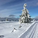 De Montagne -bellefosse Alsace Holiday home *