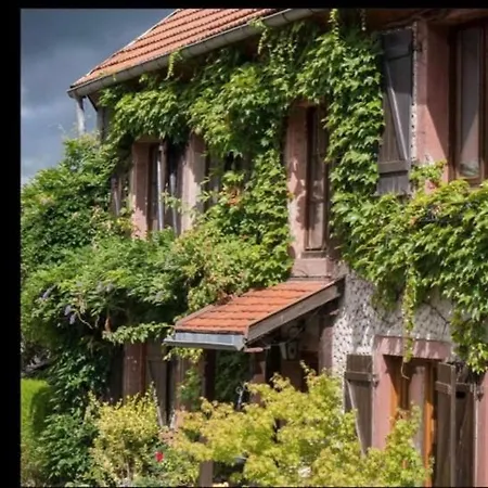 De Montagne -bellefosse Alsace Ferienhaus