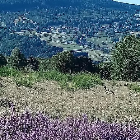 De Montagne -bellefosse Alsace