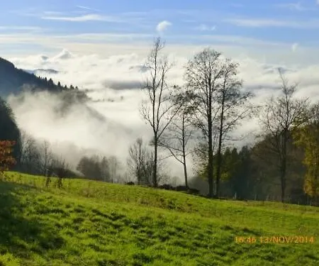 De Montagne -bellefosse Alsace Vakantiehuis *