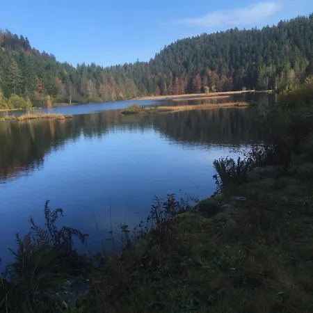 De Montagne -bellefosse Alsace *