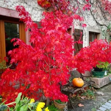 De Montagne -bellefosse Alsace Ferienhaus Bellefosse