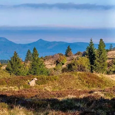 De Montagne -bellefosse Alsace Ferienhaus Bellefosse