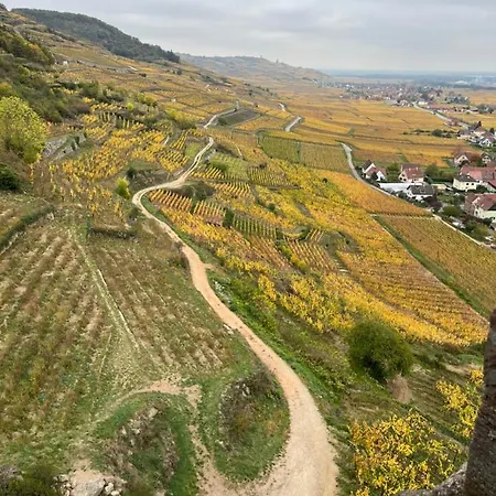 De Montagne -bellefosse Alsace Bellefosse