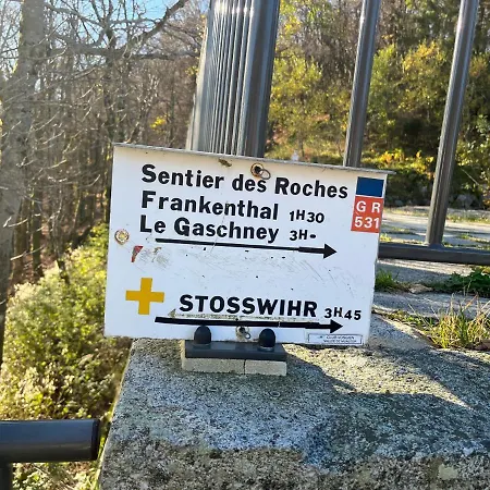 De Montagne -bellefosse Alsace *