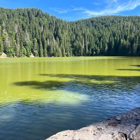 Ferienhaus De Montagne -bellefosse Alsace Bellefosse