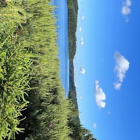 De Montagne -bellefosse Alsace Ferienhaus Bellefosse