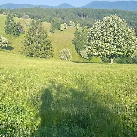 De Montagne -bellefosse Alsace * Bellefosse