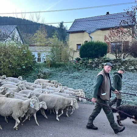 Ferienhaus De Montagne -bellefosse Alsace *