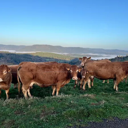 De Montagne -bellefosse Alsace Ferienhaus Bellefosse