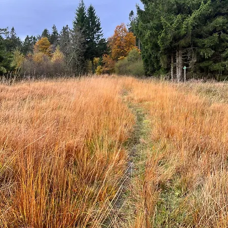 Ferienhaus De Montagne -bellefosse Alsace Bellefosse
