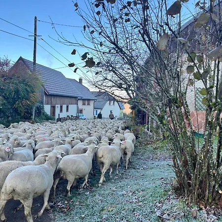 Ferienhaus De Montagne -bellefosse Alsace