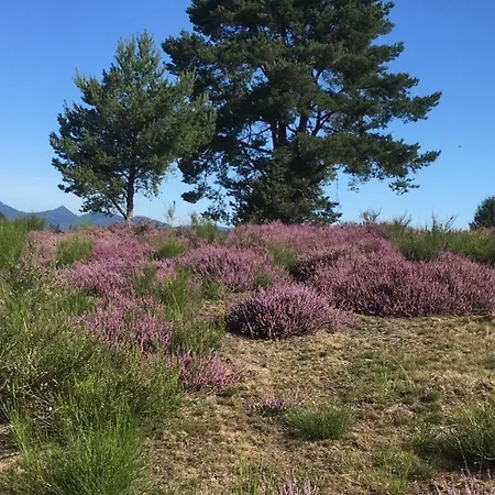 De Montagne -bellefosse Alsace
