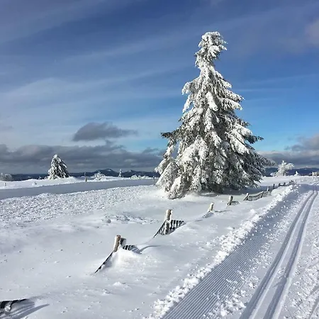 De Montagne -bellefosse Alsace Ferienhaus *