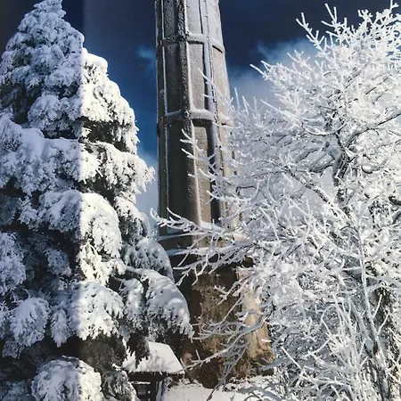De Montagne -bellefosse Alsace Ferienhaus *
